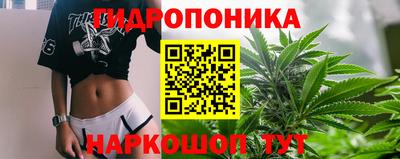 метадон Сланцы