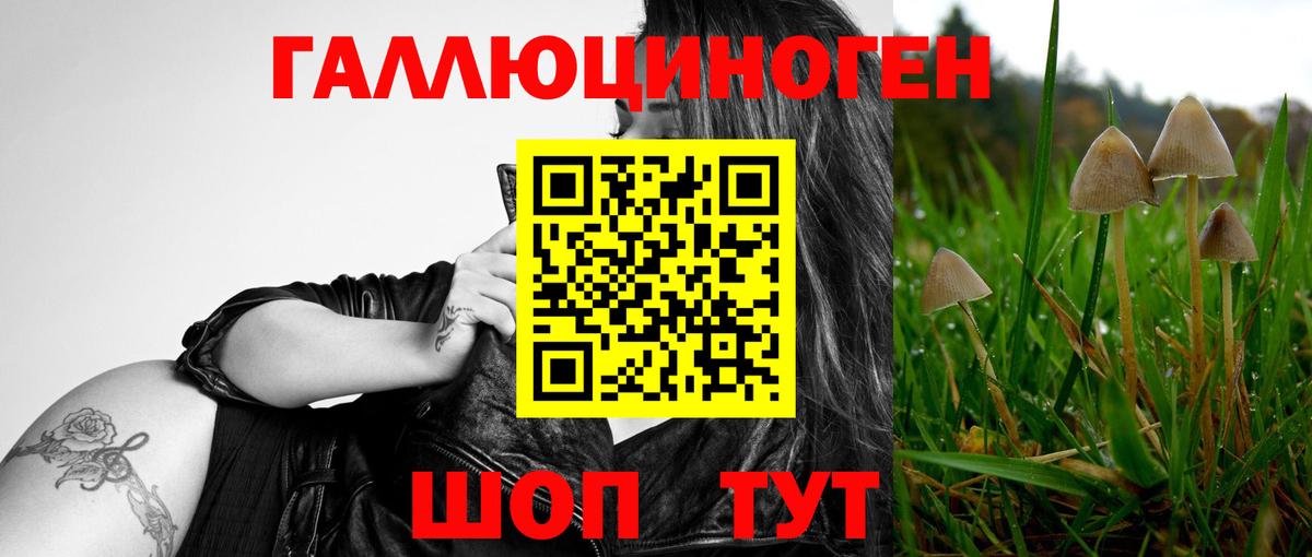 Псилоцибиновые грибы мицелий  Вход с VPN  Галлюциногенные грибы ЛСД  Новотроицк 