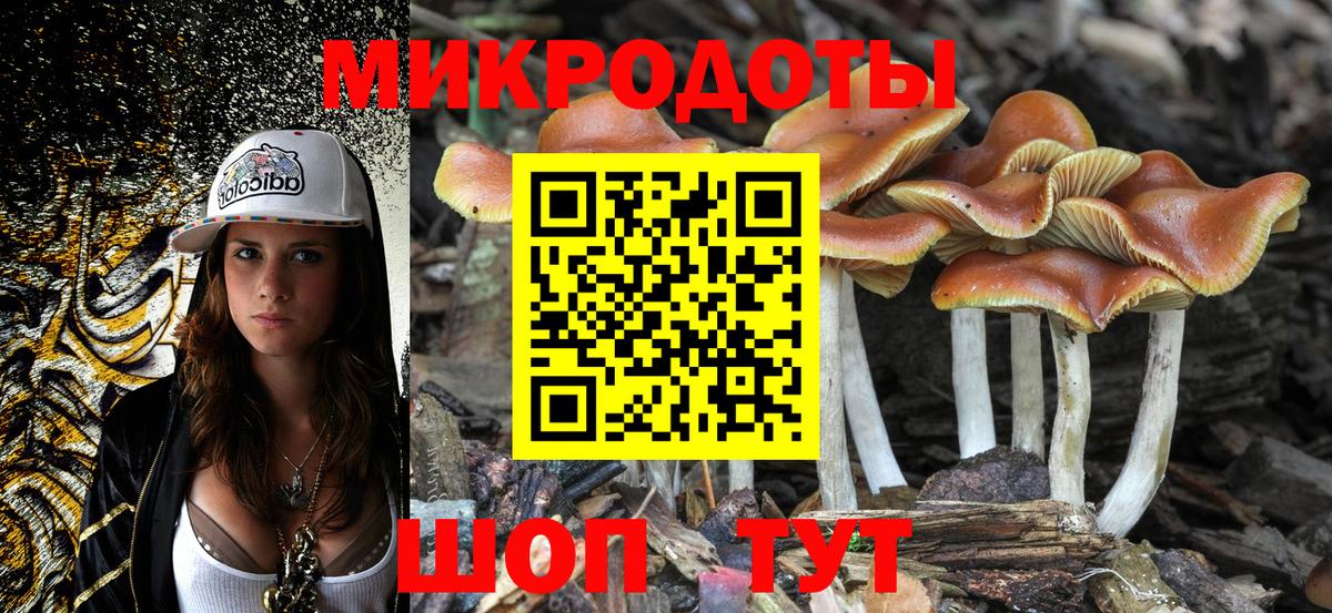 Псилоцибиновые грибы мухоморы Новотроицк